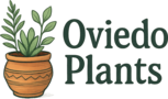 Oviedo Plants