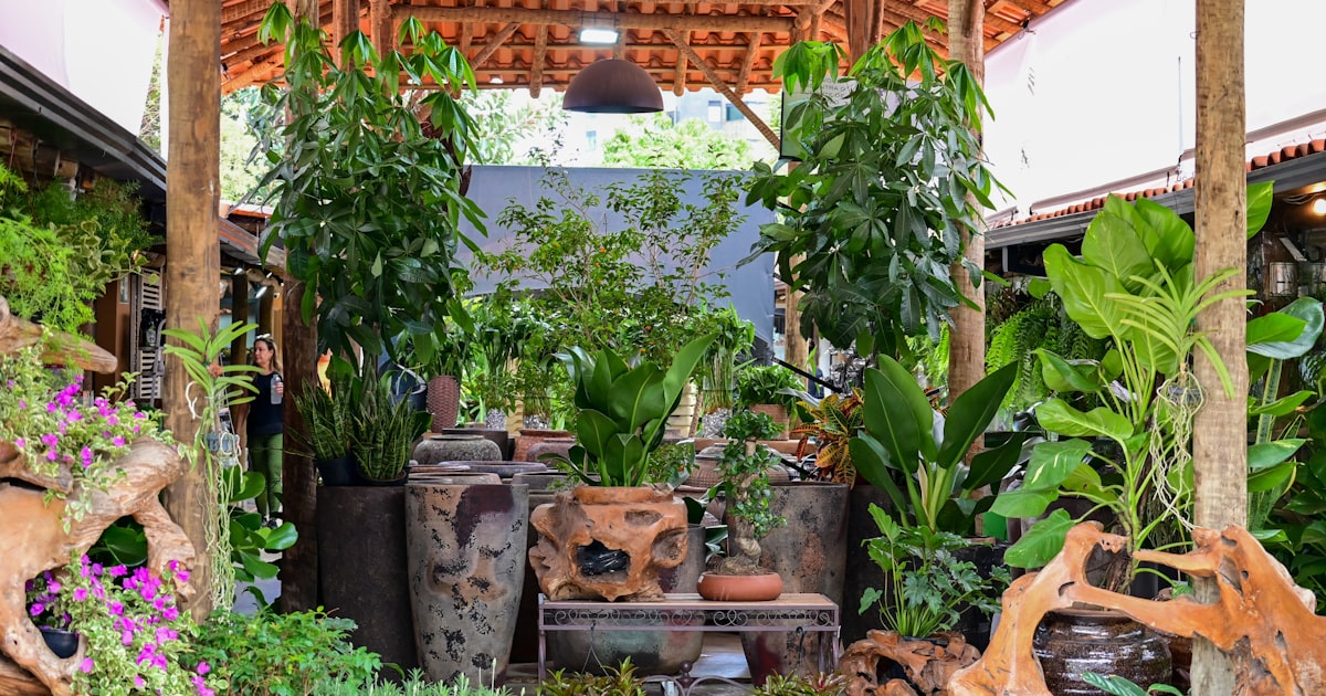 Caring for Outdoor Plants