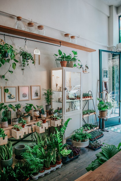 Seasonal Plant Care Tips